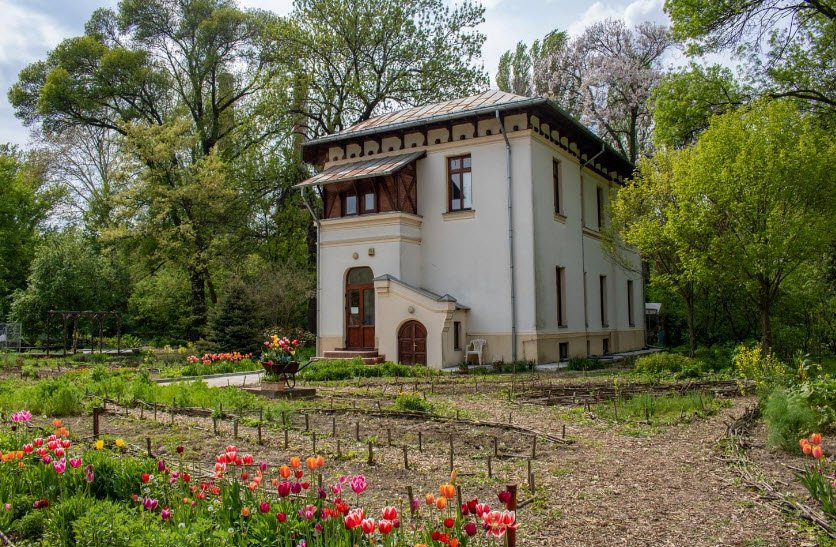 "Dimitrie Brândză" Botanical Garden, Bucharest, Romania, Romania